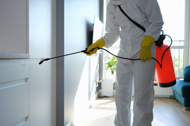 Best Kitchen Mold Remediation in Berwyn, IL